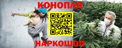 метадон Боровичи