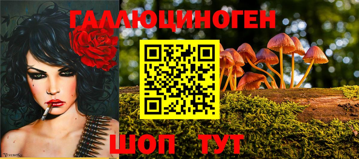 Артём  Псилоцибиновые грибы прущие грибы  купить наркотики цена  Псилоцибиновые грибы Psilocybe  Вход с VPN 