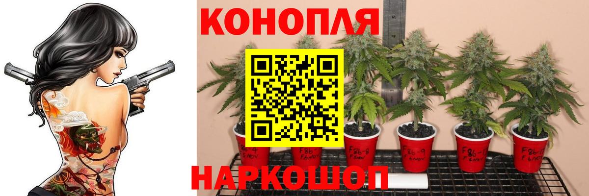 Конопля VHQ  Вход с VPN  Артём  Каннабис гибрид  Каннабис индика  Канабис гибрид 